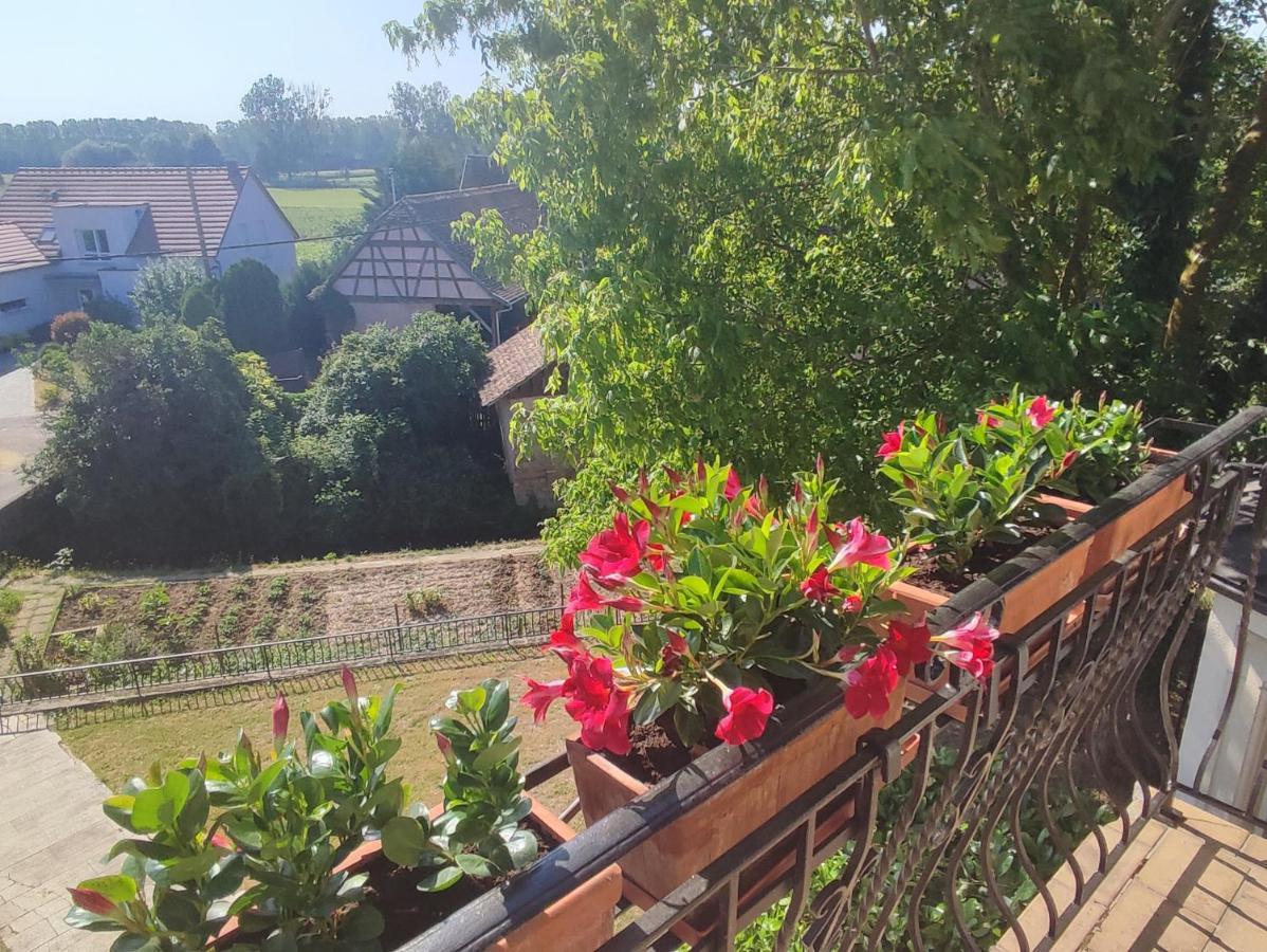 Appartement Des Rives De L'Ehn Krautergersheim Экстерьер фото